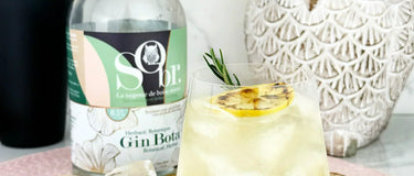 Le Tonic Bota dans un verre avec une bouteille de gin bota sans alcool Sobr.