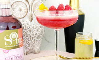 Verre de tonic d'athéna et une bouteille de gin fruité litchi framboise sans alcool par SObr.