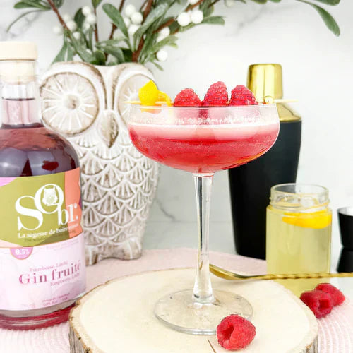 Verre de tonic d'athéna et une bouteille de gin fruité litchi framboise sans alcool par SObr.