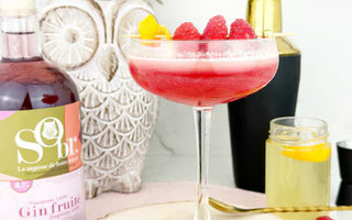 Verre de tonic d'athéna et une bouteille de gin fruité litchi framboise sans alcool par SObr.