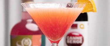 Verre de martini rempli de cosmopolitan sans alcool. Une bouteille de gin fruité sobr et une autre bouteille de jus pure de canneberge par CANNE BERGE. 