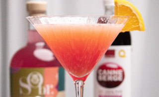 Verre de martini rempli de cosmopolitan sans alcool. Une bouteille de gin fruité sobr et une autre bouteille de jus pure de canneberge par CANNE BERGE. 
