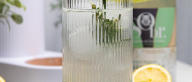 Verre de mocktial Bota Fiiz sans Alcool en premier plan avec des demi citrons et demi limes. En arrière-plan, une machine à eau pétillante Indigo et une bouteille de gin bota Sobr. 