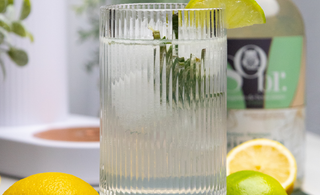 Verre de mocktial Bota Fiiz sans Alcool en premier plan avec des demi citrons et demi limes. En arrière-plan, une machine à eau pétillante Indigo et une bouteille de gin bota Sobr. 