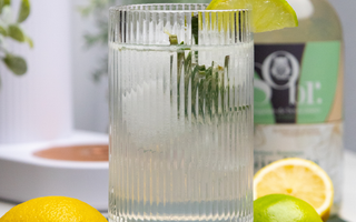 Verre de mocktial Bota Fiiz sans Alcool en premier plan avec des demi citrons et demi limes. En arrière-plan, une machine à eau pétillante Indigo et une bouteille de gin bota Sobr. 